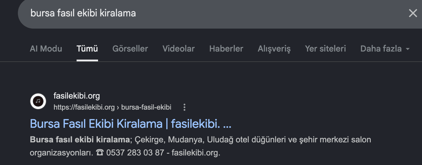 Google'da 'bursa fasıl ekibi kiralama' aramasında fasilekibi.org 1. sırada